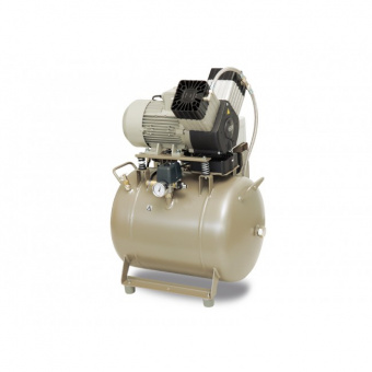 EKOM DK50 2V/50 S/M - безмасляный компрессор для 2-x стоматологических установок с кожухом, с осушителем, с ресивером 50 л | EKOM (Словакия)